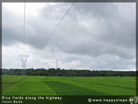 Rice fields along the Ilocos highway