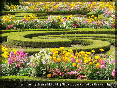 Gardens of Chateau de Versailles, France