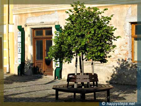 photo of a bench around a tree, at Kutna Hora