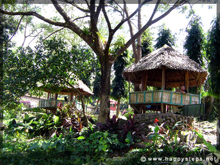 Buenos Aires Mountain Resort, another tourist destination in Negros Occidental