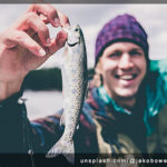 Let’s go fishing: Lures for every fishing need!